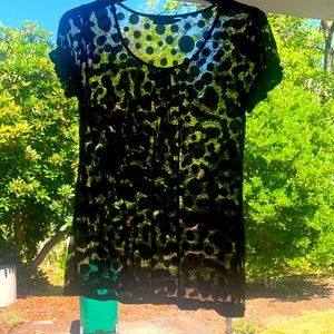 CUTE! The Limited Sheer Polka Dot Top